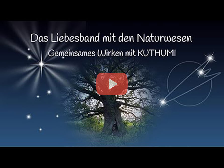Bild Das Liebesband mit den Naturwesen, gemeinsames Wirken mit Kuthumi  - Meditation Offenes Treffen vom 26.09.2021