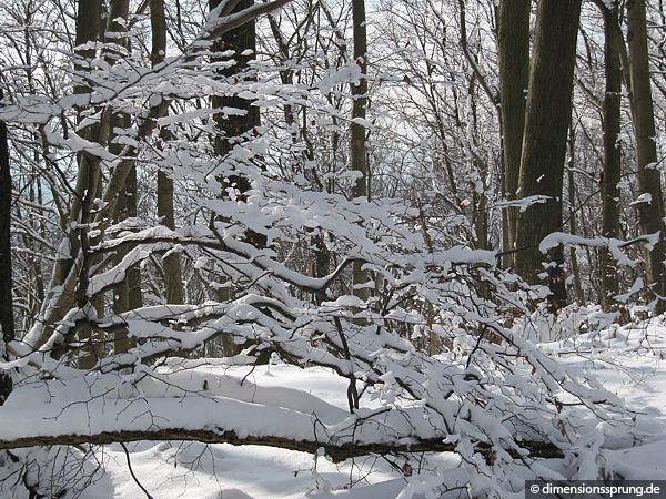 Auf dem Weg zum Hohenstein, Aufstieg