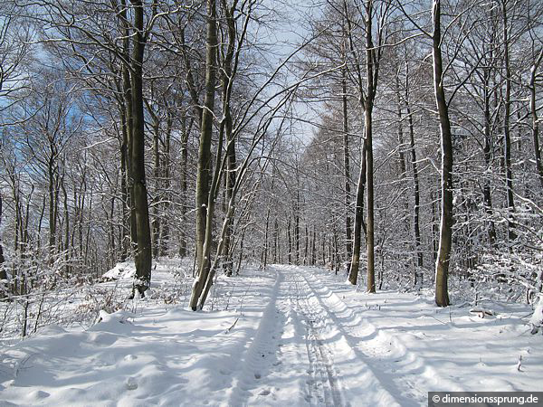 Auf dem Weg zum Hohenstein, Kammweg