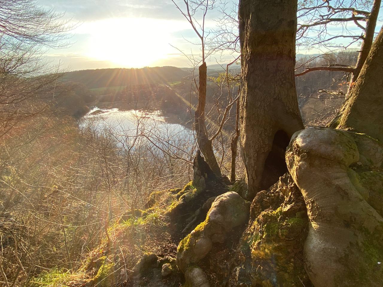 Bild Die Itelklippen bei Bad Sachsa im Südharz - Einhüllende Erdung und Geborgenheit