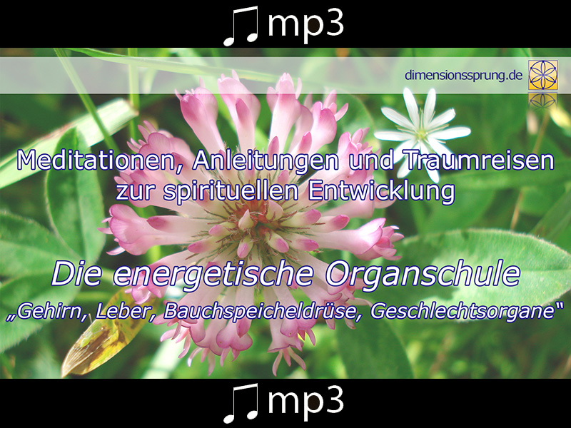 Energetische Organschule #3 Gehirn, Leber, Bauchspeicheldrüse, Geschlechtsorgane Energetische Organschule #3 Gehirn, Leber, Bauchspeicheldrüse, Geschlechtsorgane