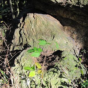 Alte Opferschale am Elfenstein / Bad Harzburg