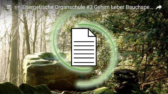 Bild Anleitung / Meditation: Energetische Organschule #3 Gehirn, Leber, Bauchspeicheldrüse, Geschlechtsorgane