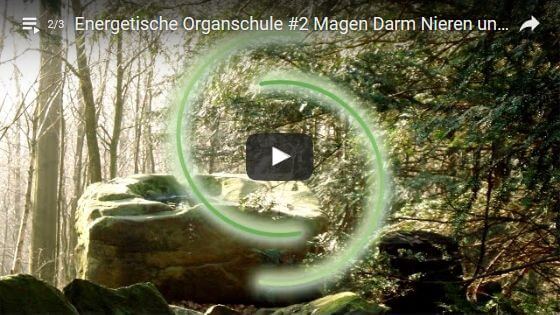 Bild Video: Anleitung / Meditation: Energetische Organschule #2 Magen, Darm und Nieren