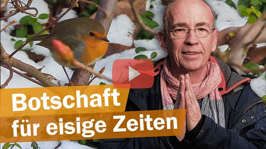 Bild Zaubergarten der Lyraner: Komm mit in den inneren Sommer!