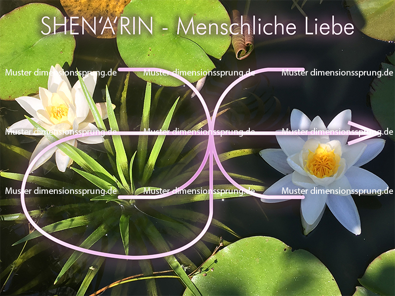 Meditationskarte / Energiesymbolkarte<BR/>SHEN'A'RIN - Menschliche Liebe