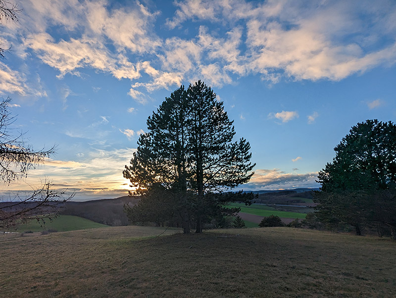 Bild Lebenskraft und Selbstvertrauen - der Wahrberg bei Hillerse / Northeim