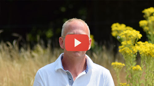 Bild Engel Nathaniel - Ein Aufruf der Heilung an alle Lichtarbeiter