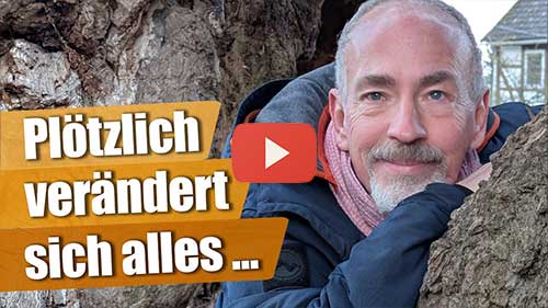 Bild Extrem starke Methode, um die Präsenz eines Lichtwesens durch direkten Kontakt zu erleben 