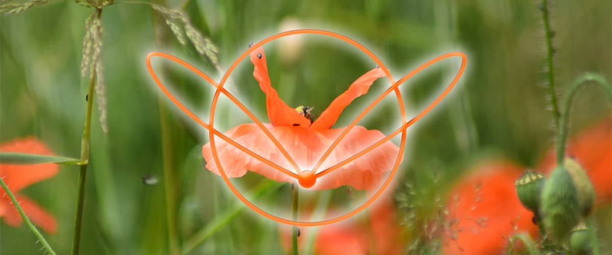 Meditationskarte / Kristallkarte HAR'ATORA - bitte hier klicken